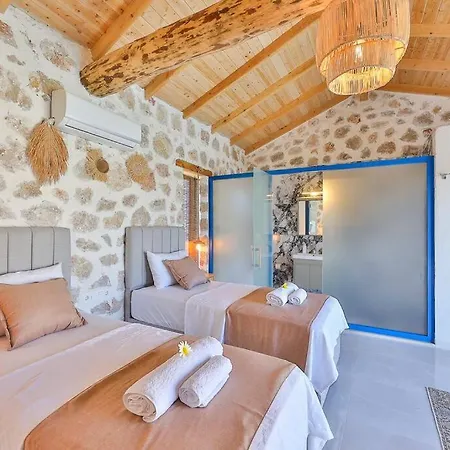 Villa Flower Blue Patara Gelemiş